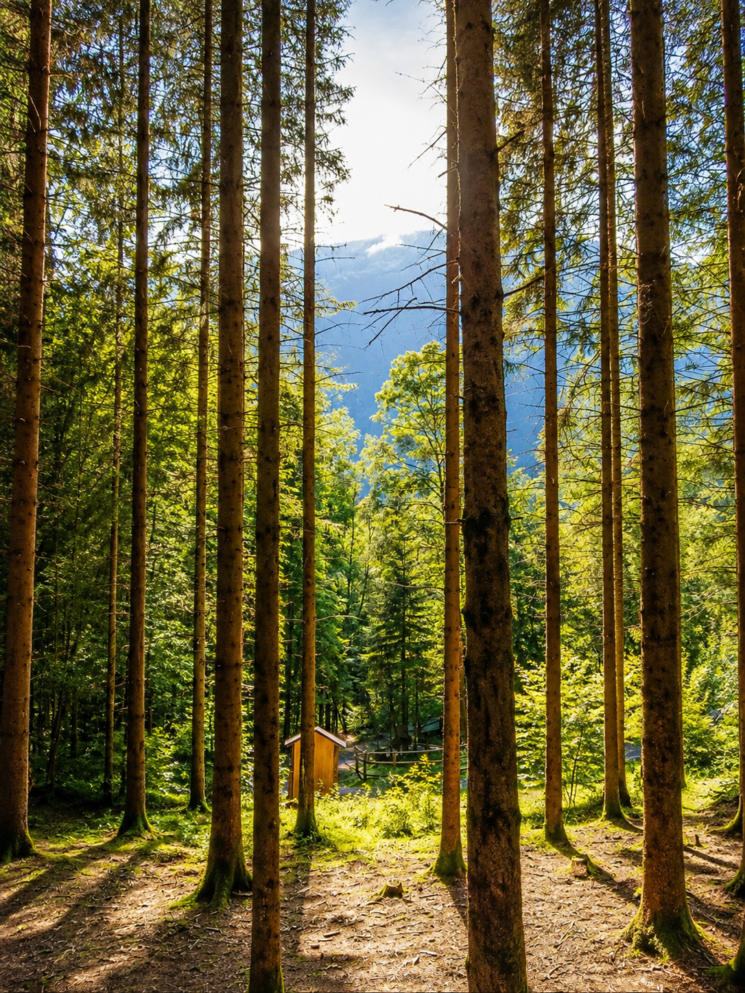 Ecosostenibilità e Simbiosi Naturale